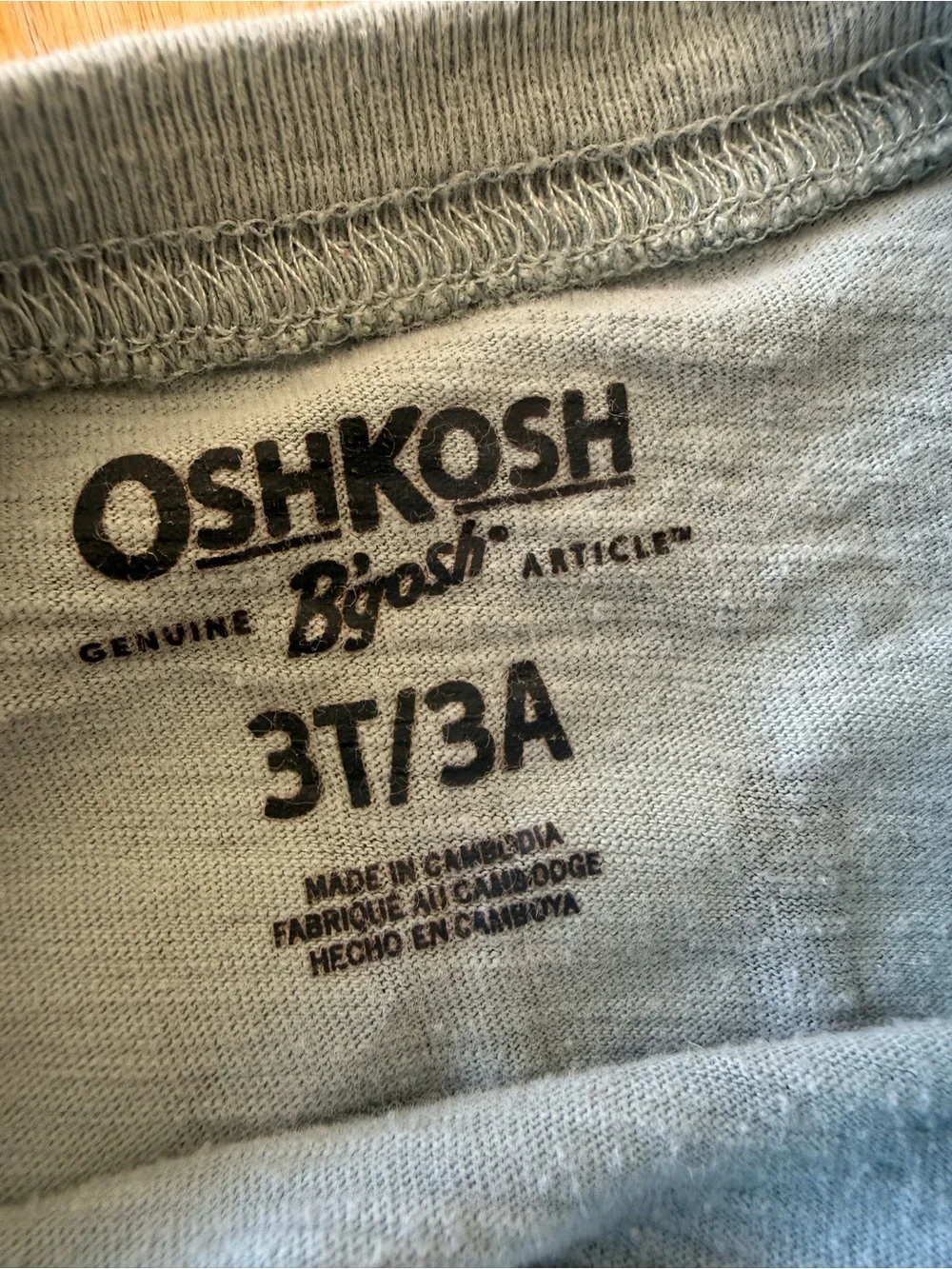 OshKosh B’gosh Dinosaur Long Sleeve Graphic Tee 3T Blue